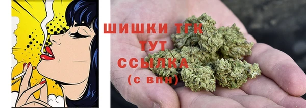 твердый Медногорск