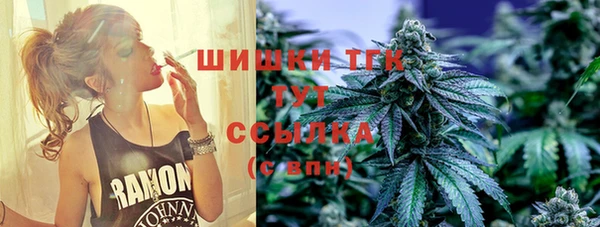 твердый Медногорск
