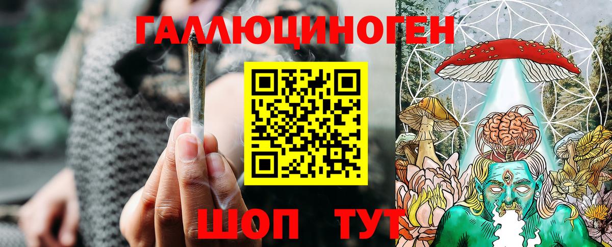 Галлюциногенные грибы прущие грибы Малоярославец