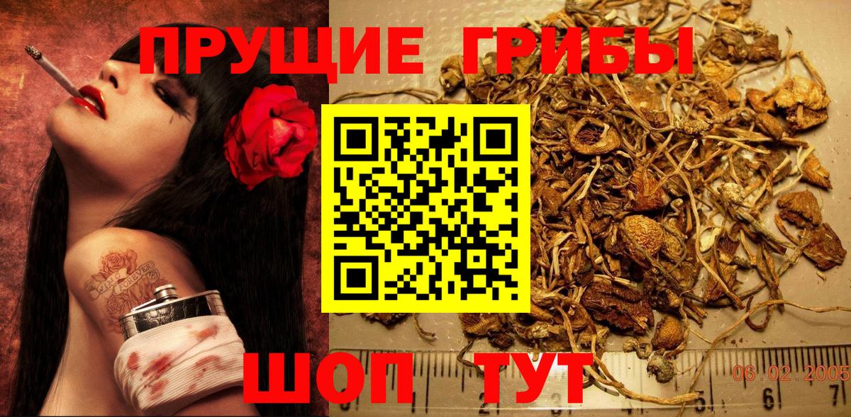 Галлюциногенные грибы мухоморы  Псилоцибиновые грибы Cubensis  Вход с VPN  Малоярославец 